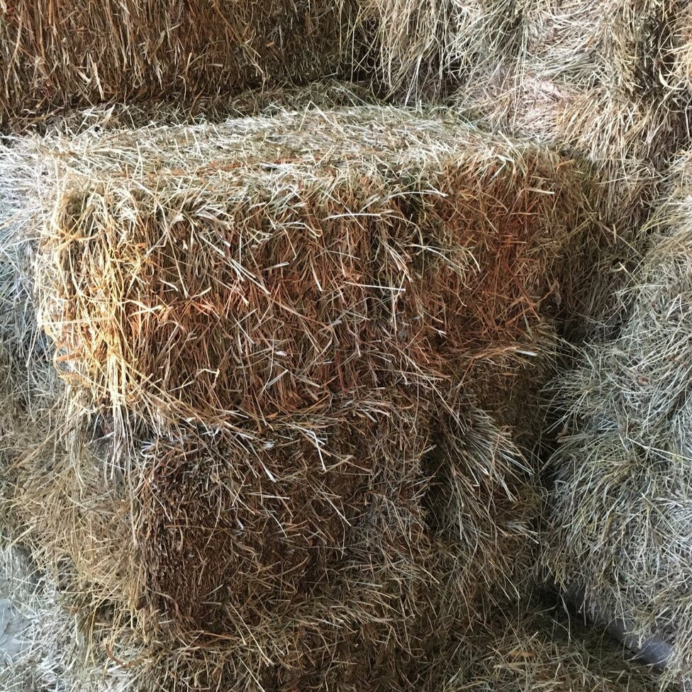 Certified orgnaic mixed hay in small square bales in our barn on our small hay farm in Kentucky
