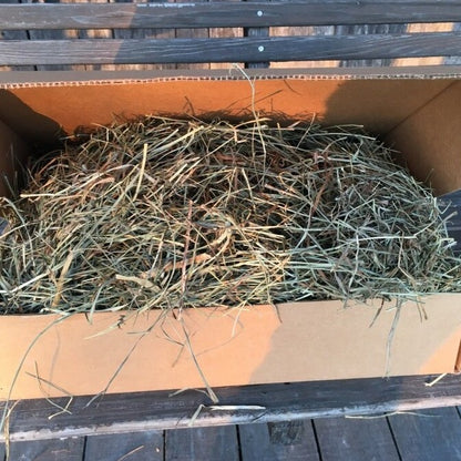 USDA Certified Organic Orchard Grass, Fescue & Clover Hay